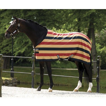 New Rambo Newmarket stable sheet 66