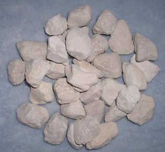 LOT 450 CHINCHILLA PUMICE BITES promotes dental health