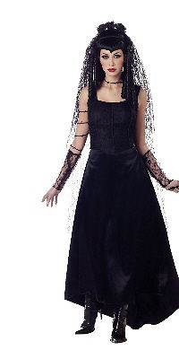 Gothic Bride Costume Black Widow Underworld Persephone Veil & Barb 
