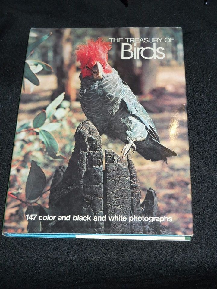 Treasury of Birds by Whitney Eastman 1972, Hardcover w Dust Jacket