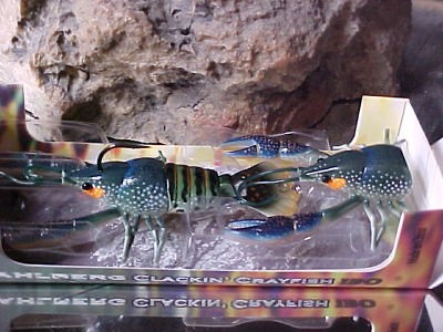 Larry Dahlberg Series Clackin Crayfish in Color BLUE OLIVE for BASS 