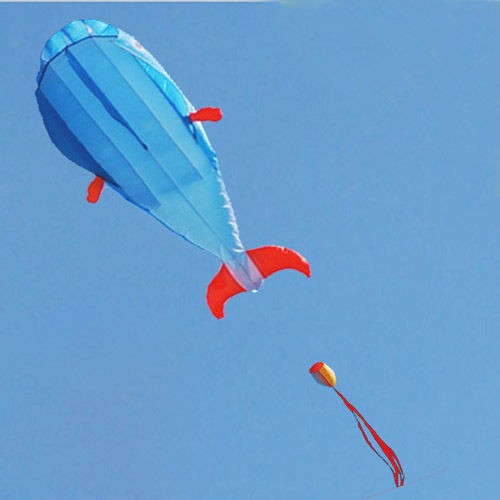 KITES 3D Huge Parafoil Giant Dolphin Blue Soft Kite Outdoor Sport Easy 