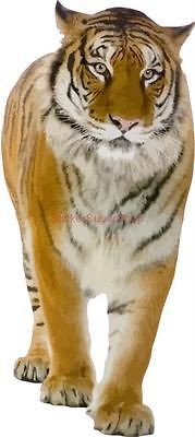 HUGE TIGER ARTWORK Jungle Wild ANIMALS Decal Removable WALL STICKER 