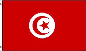 x5 Tunisia Flag Outdoor Indoor Banner Tunisian 3x5