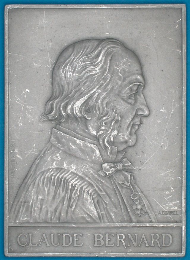 Medicine Claude Bernard French Physiologist XLarge Plaque 1913 by 