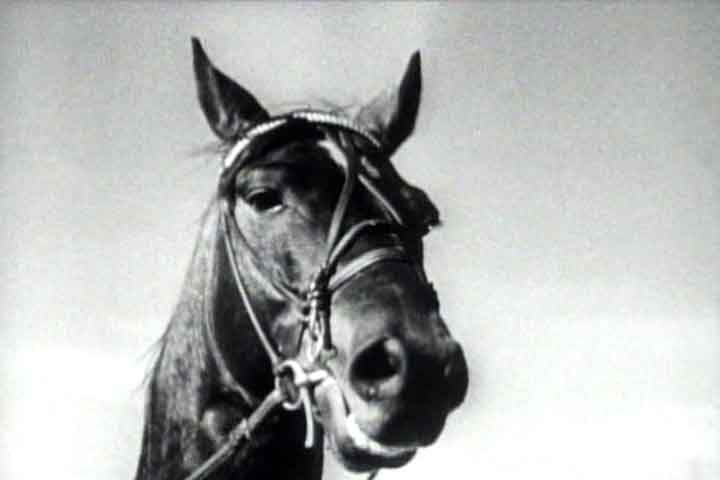 History of Horse Racing in The 1900s Dan Patch Film