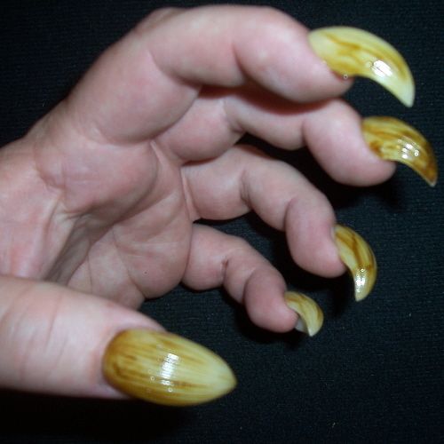 Fake Claws Finger Nails Werewolf False Fingernails