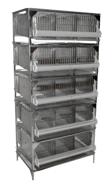 15 Section Quail Battery Breeding Pen