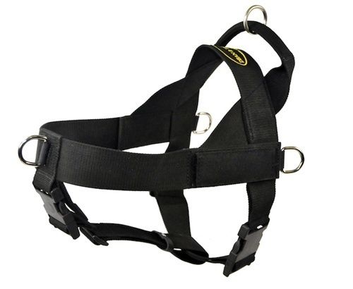 DT Universal No Pull Harness for Large Dogs