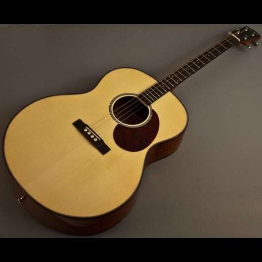New Gold Tone TG 10 4 String Tenor Acoustic Guitar w Deluxe Protective