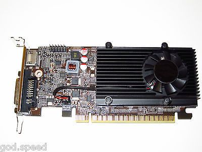 nVIDIA GeForce 1GB Low Profile Half Height PCI E x16 Gaming Video