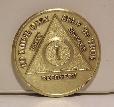 Year Recovery 1 Yr Chip Medallion Coin Medal Token AA Anonymous