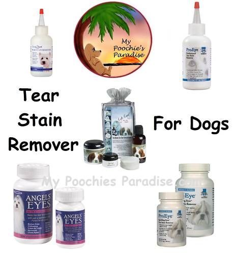 TEAR STAIN REMOVER for DOGS Huge Selection & Low Prices